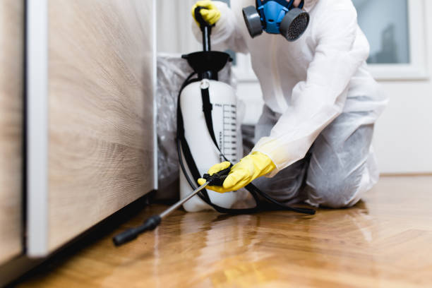 Pest Prevention Services in Olivet, TN