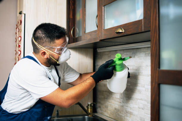 Best Best Pest Control Companies  in Olivet, TN