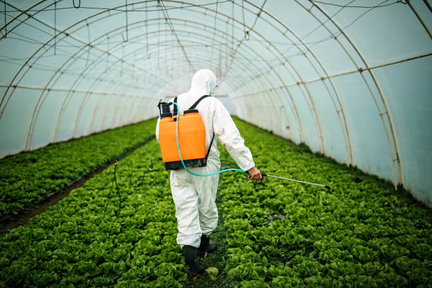 Pest Control Cost in Olivet, TN