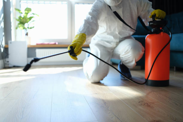 Best Pest Prevention Services  in Olivet, TN