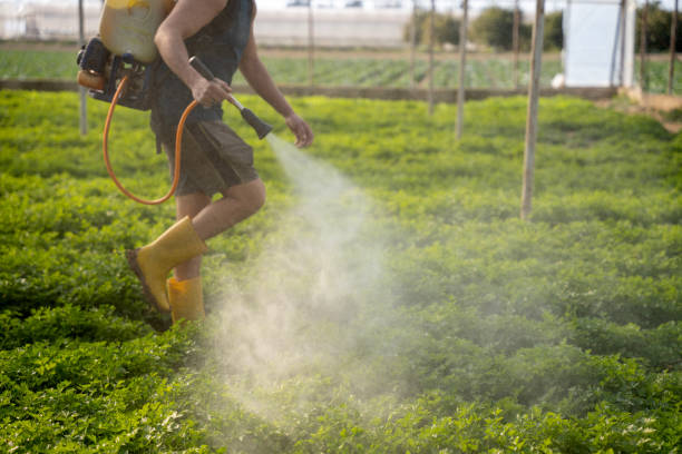 Best Pest Removal Services  in Olivet, TN