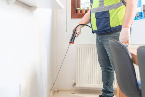 Best Wasp Removal Services  in Olivet, TN