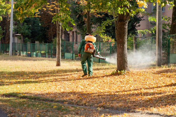 Best Commercial Pest Control Services  in Olivet, TN