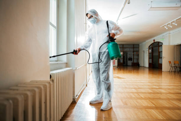 Best Affordable Pest Control Services  in Olivet, TN