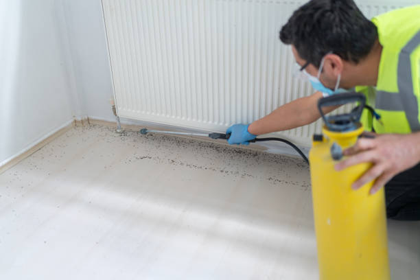 Professional Pest Control in Olivet, TN