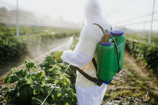 Best Pest Prevention Services  in Olivet, TN